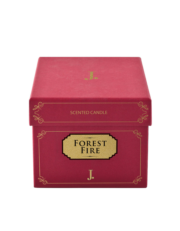 Forest Fire