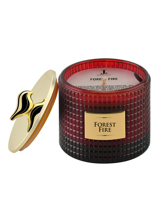 Forest Fire